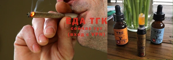 тгк Михайлов